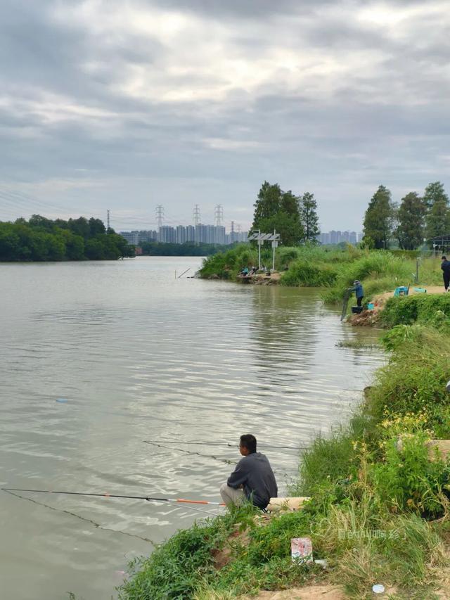 露营+遛娃+钓鱼一站式搞定免费周末好去处！电子pg游戏广州又多一个“原生态”河畔公园(图2)