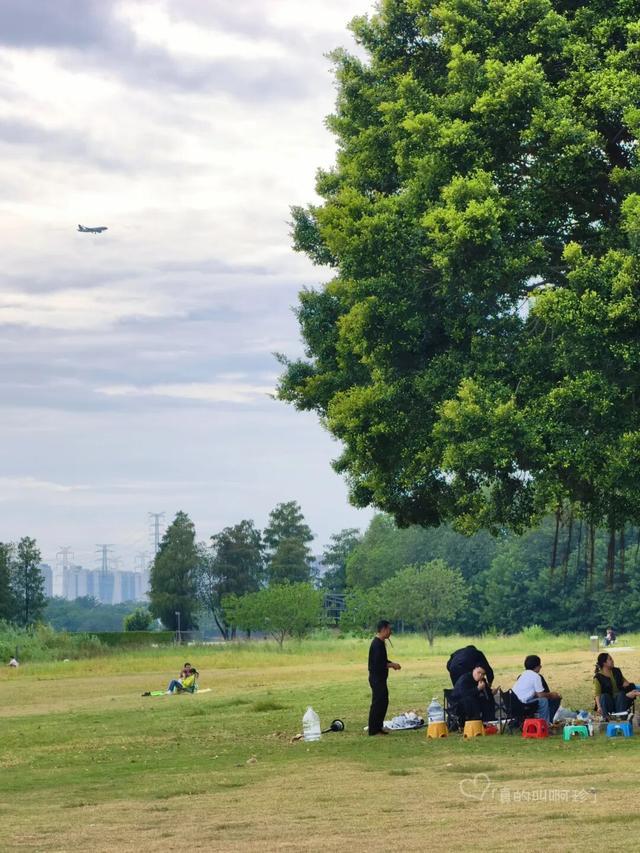 露营+遛娃+钓鱼一站式搞定免费周末好去处！电子pg游戏广州又多一个“原生态”河畔公园(图3)