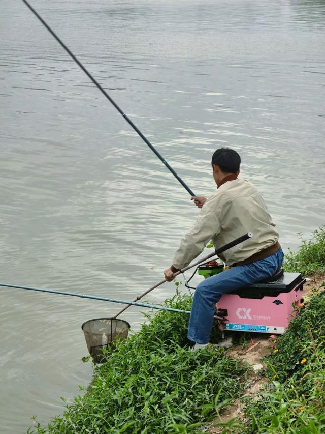 露营+遛娃+钓鱼一站式搞定免费周末好去处！电子pg游戏广州又多一个“原生态”河畔公园(图5)