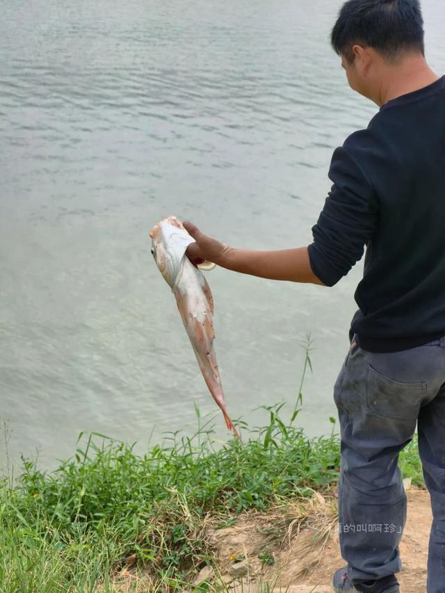露营+遛娃+钓鱼一站式搞定免费周末好去处！电子pg游戏广州又多一个“原生态”河畔公园(图6)