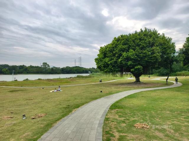 露营+遛娃+钓鱼一站式搞定免费周末好去处！电子pg游戏广州又多一个“原生态”河畔公园(图4)