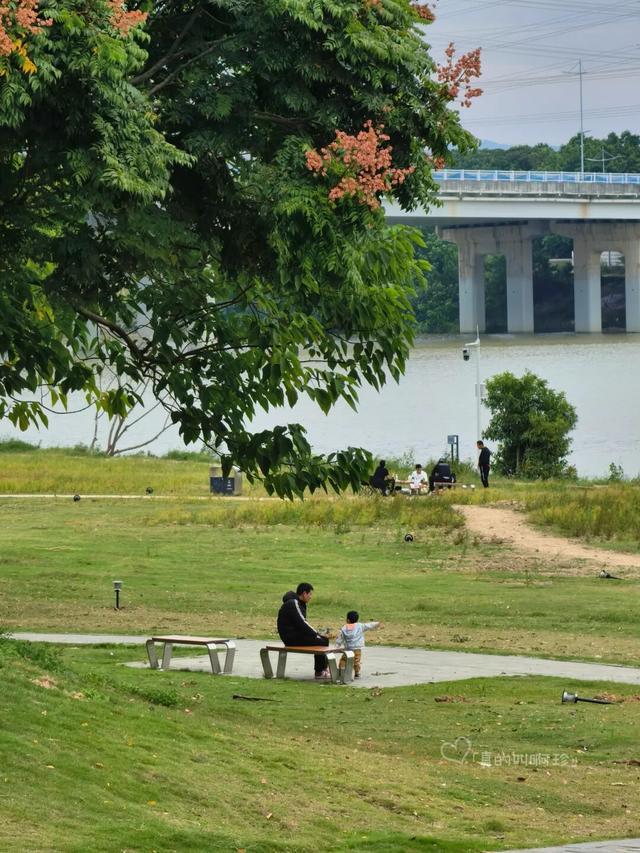 露营+遛娃+钓鱼一站式搞定免费周末好去处！电子pg游戏广州又多一个“原生态”河畔公园(图9)