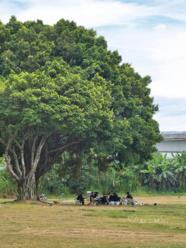 露营+遛娃+钓鱼一站式搞定免费周末好去处！电子pg游戏广州又多一个“原生态”河畔公园(图15)