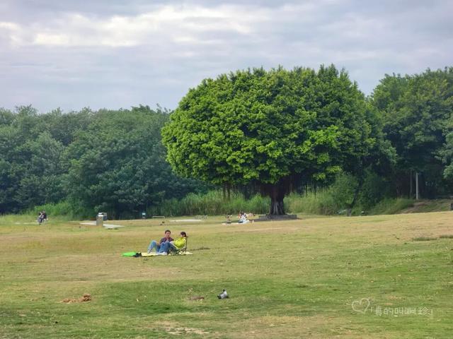 露营+遛娃+钓鱼一站式搞定免费周末好去处！电子pg游戏广州又多一个“原生态”河畔公园(图12)