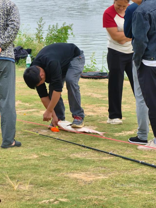 露营+遛娃+钓鱼一站式搞定免费周末好去处！电子pg游戏广州又多一个“原生态”河畔公园(图10)