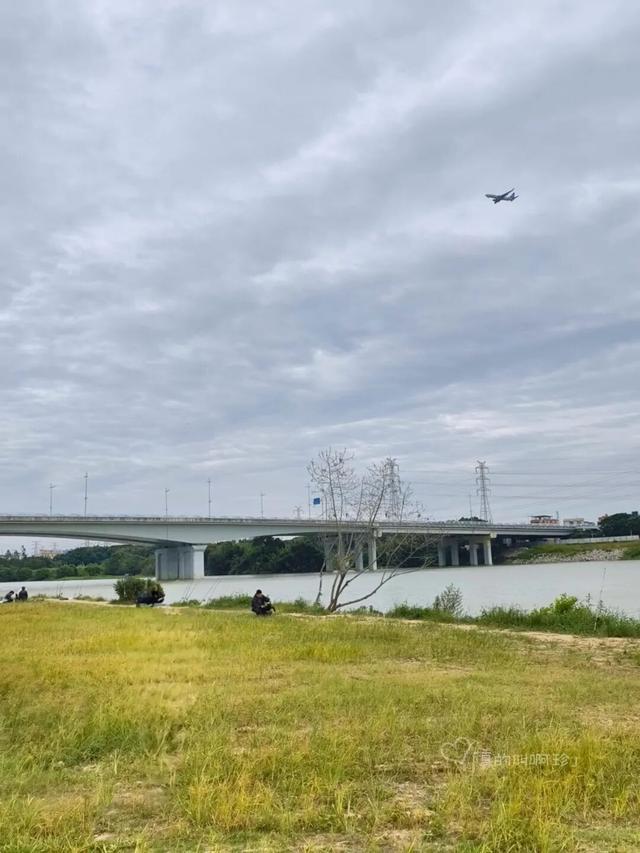 露营+遛娃+钓鱼一站式搞定免费周末好去处！电子pg游戏广州又多一个“原生态”河畔公园(图8)