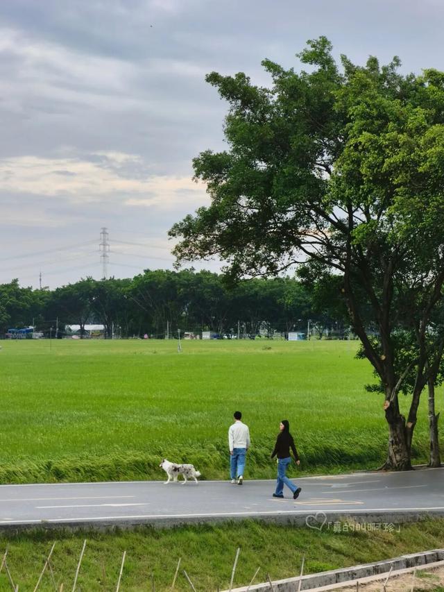 露营+遛娃+钓鱼一站式搞定免费周末好去处！电子pg游戏广州又多一个“原生态”河畔公园(图11)
