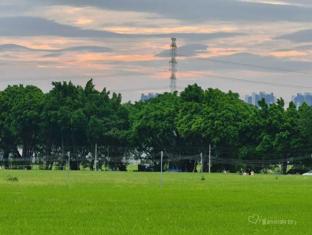 露营+遛娃+钓鱼一站式搞定免费周末好去处！电子pg游戏广州又多一个“原生态”河畔公园(图17)