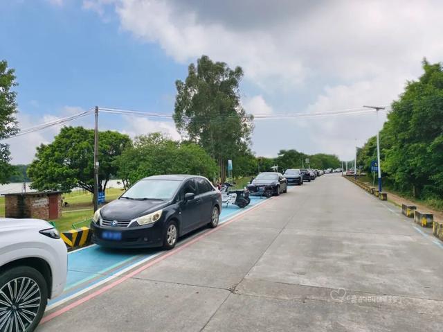 露营+遛娃+钓鱼一站式搞定免费周末好去处！电子pg游戏广州又多一个“原生态”河畔公园(图16)