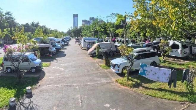 理：不得在公共绿地生火做饭、晾晒衣物pg电子游戏网站瑞丽、北